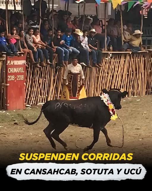 Un nuevo fallo judicial impacta los festejos tradicionales en los municipios de Yucatán.